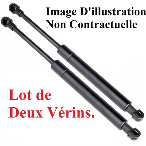 Deux vérins capot moteur - de,